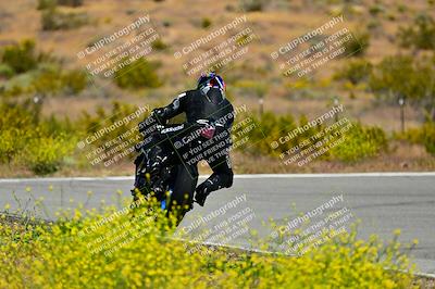 media/May-10-2024-2WTD (Fri) [[c88d7990af]]/Group C/Session 2-The Bowl/